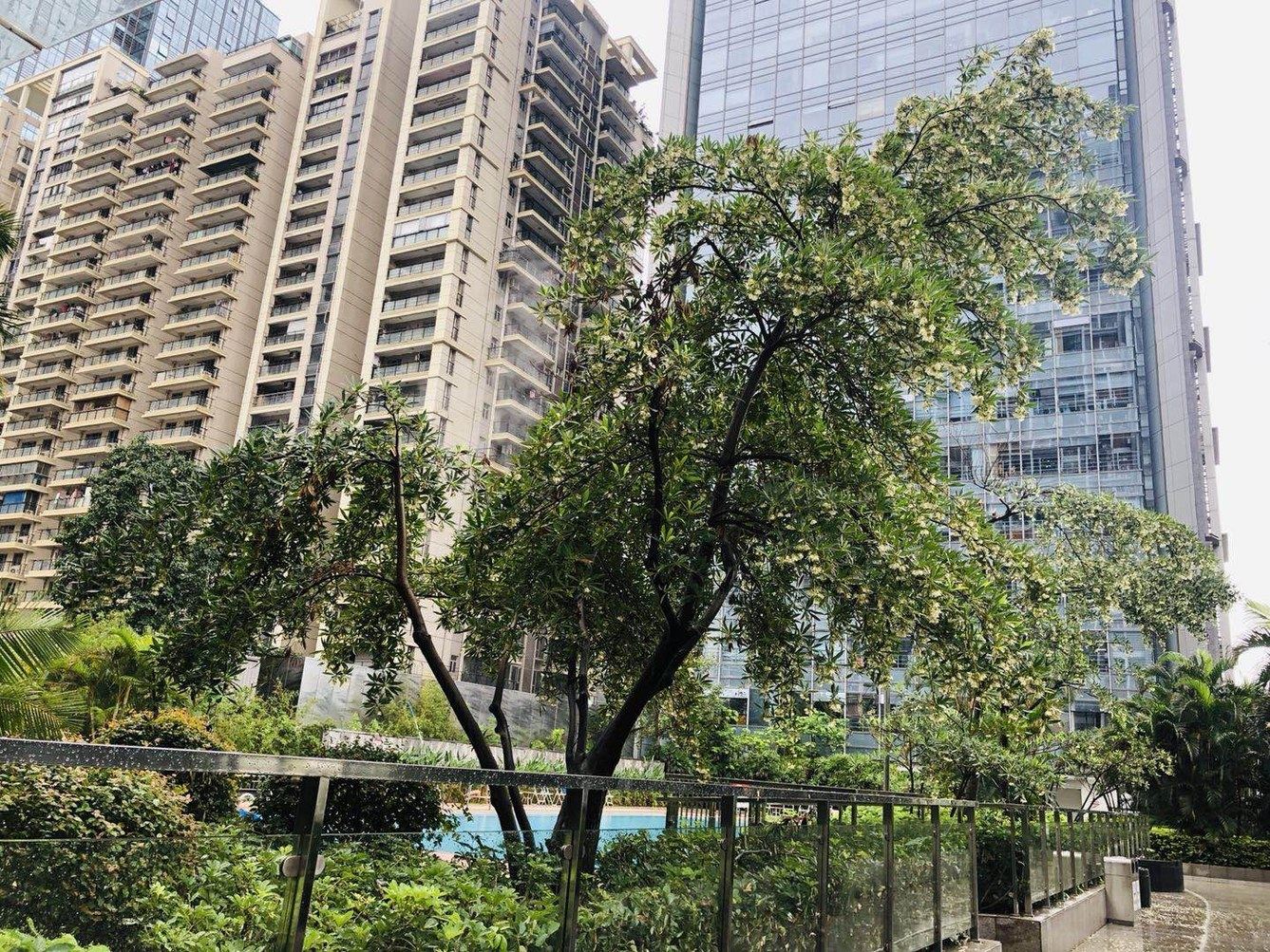 深圳肥哥公寓(4号店)
