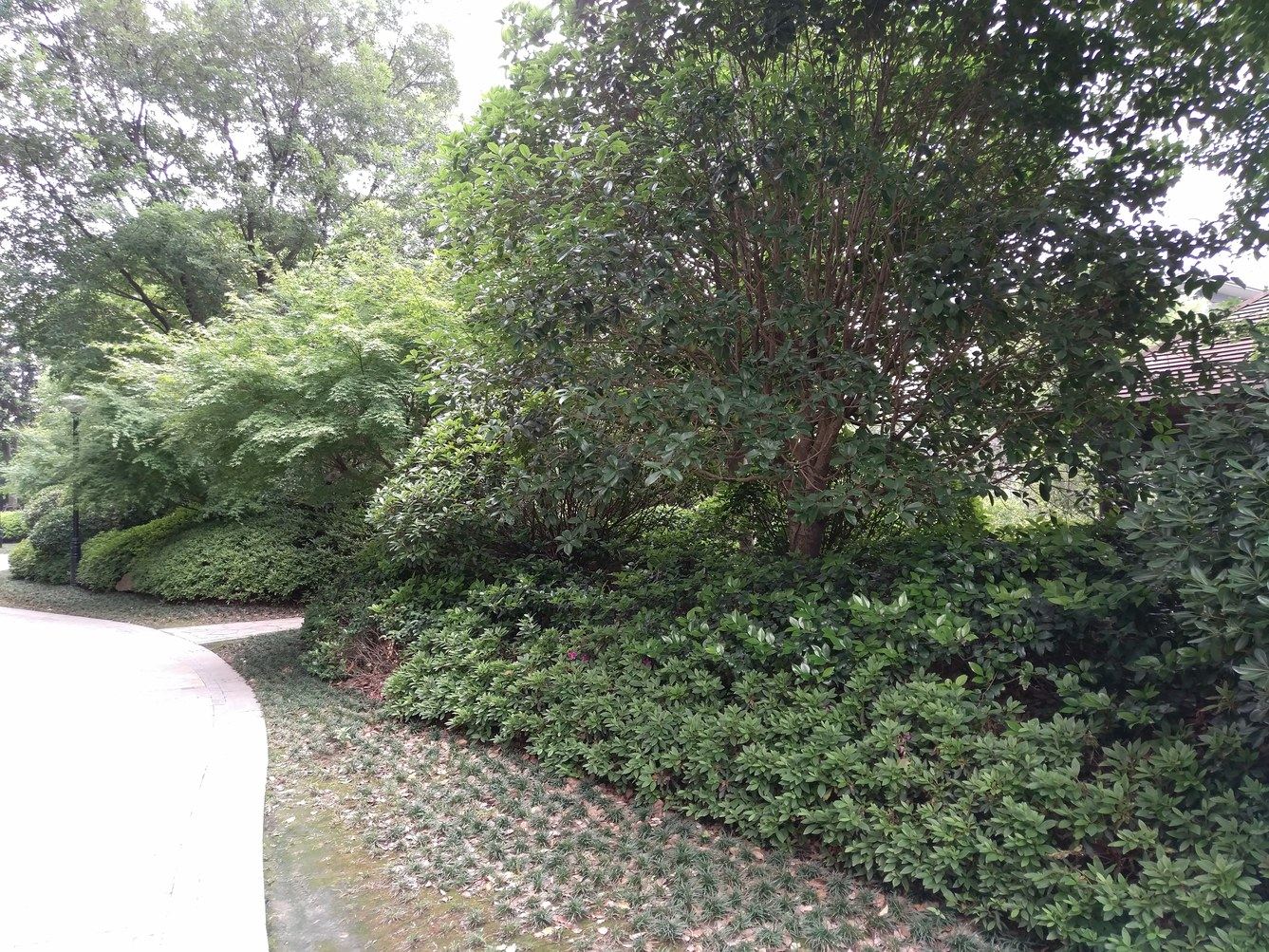 扬州纳兰花开公寓