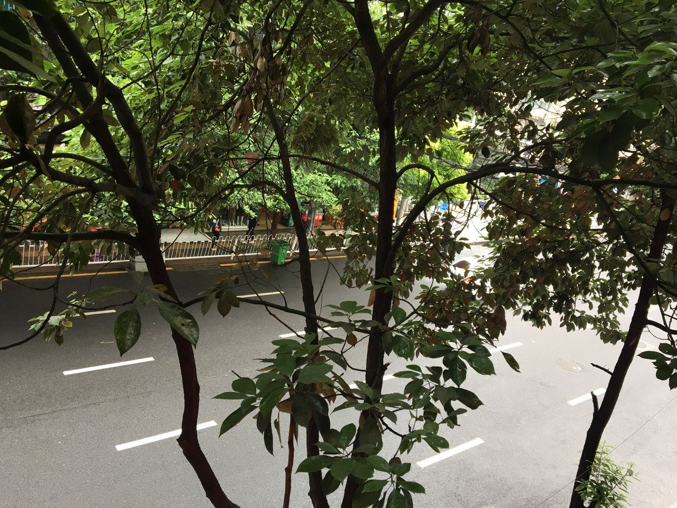 贵阳温馨的民宿(4号店)