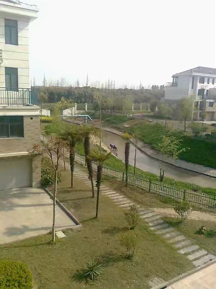 上海崔爱红公寓