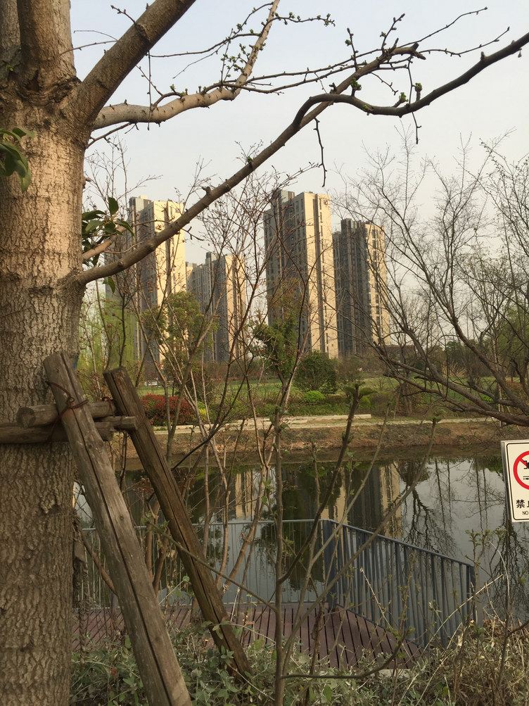 南京岛上小窝普通公寓
