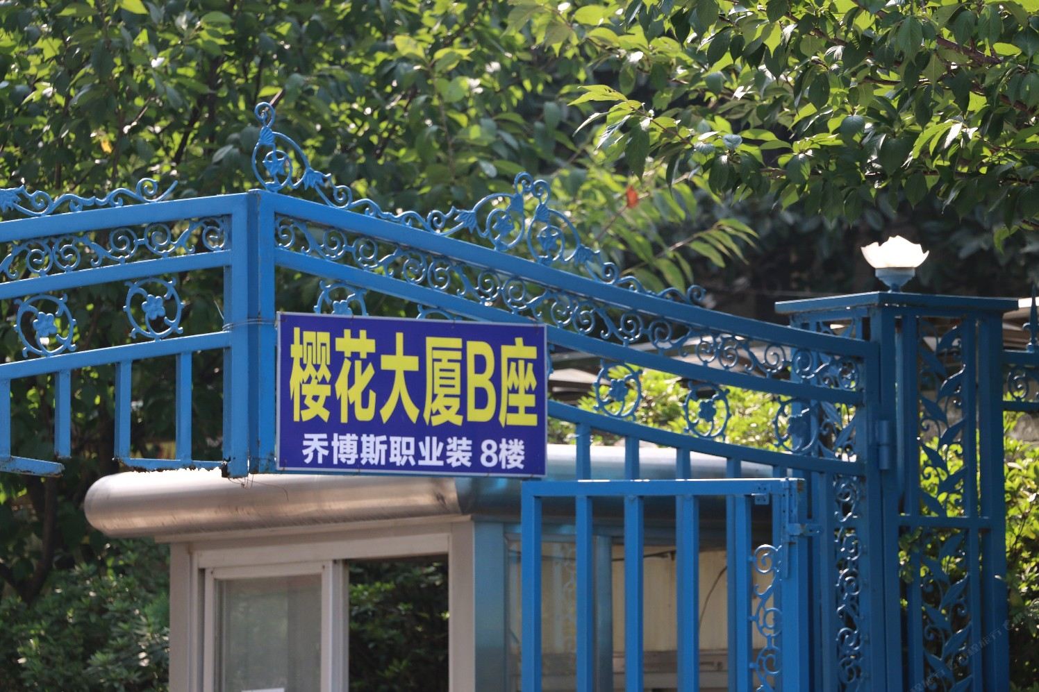 武汉毛豆的旅舍