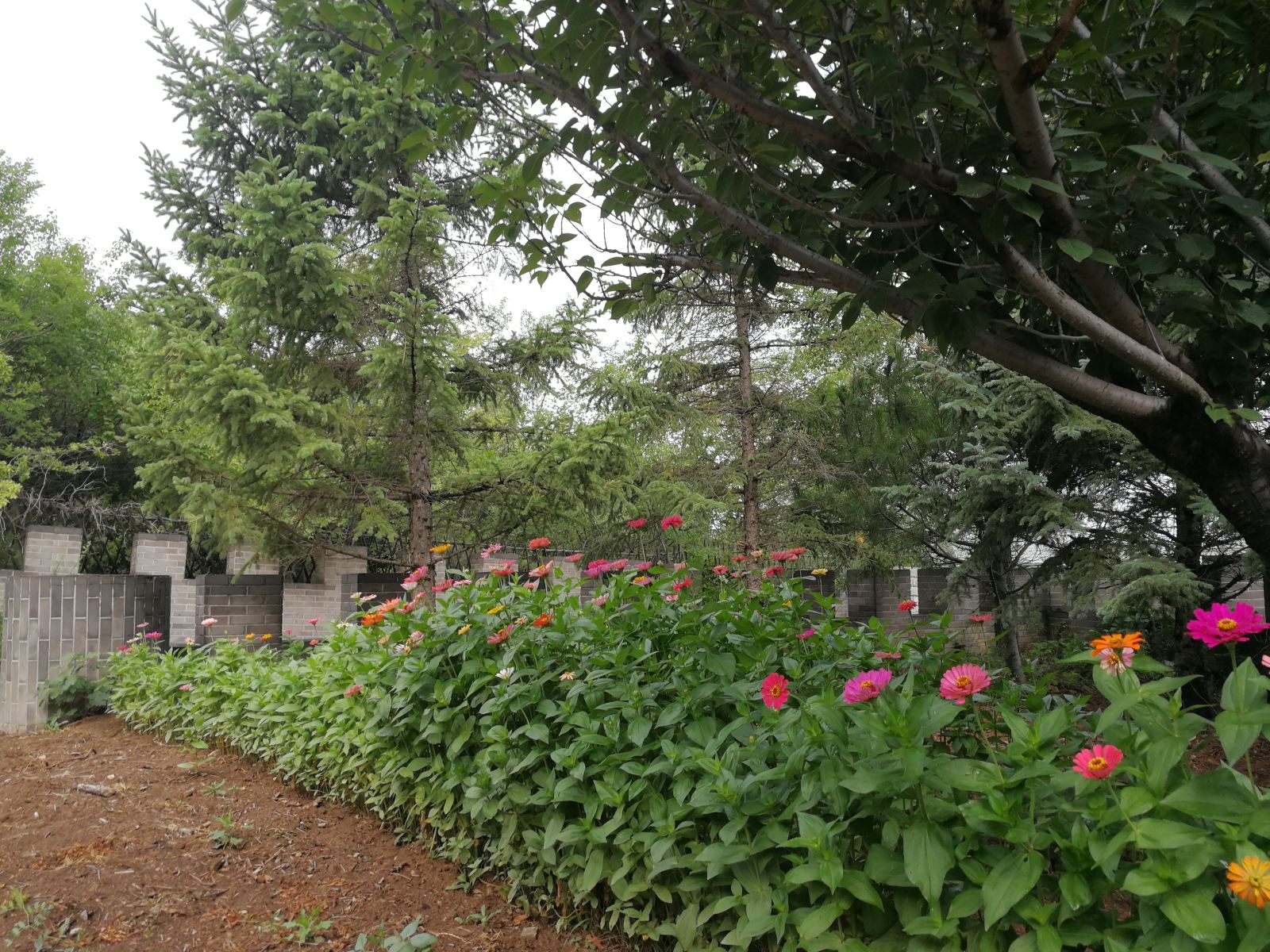 八达岭北青旅居别墅庄园