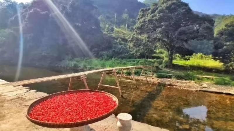 婺源长溪登元农家乐