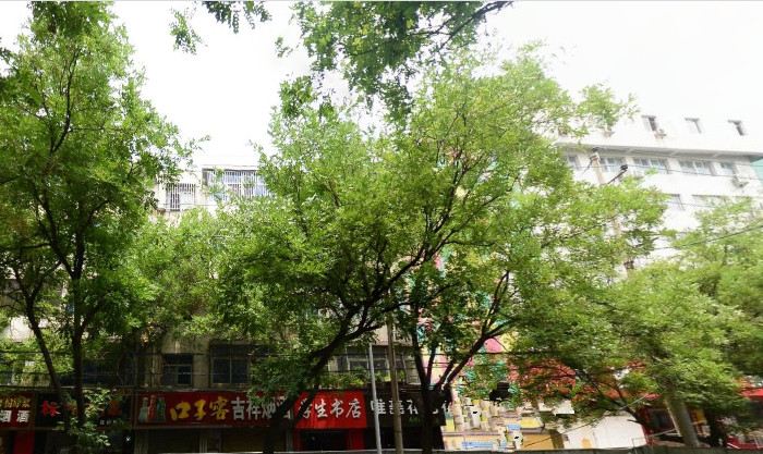 郑州舒雅招待所