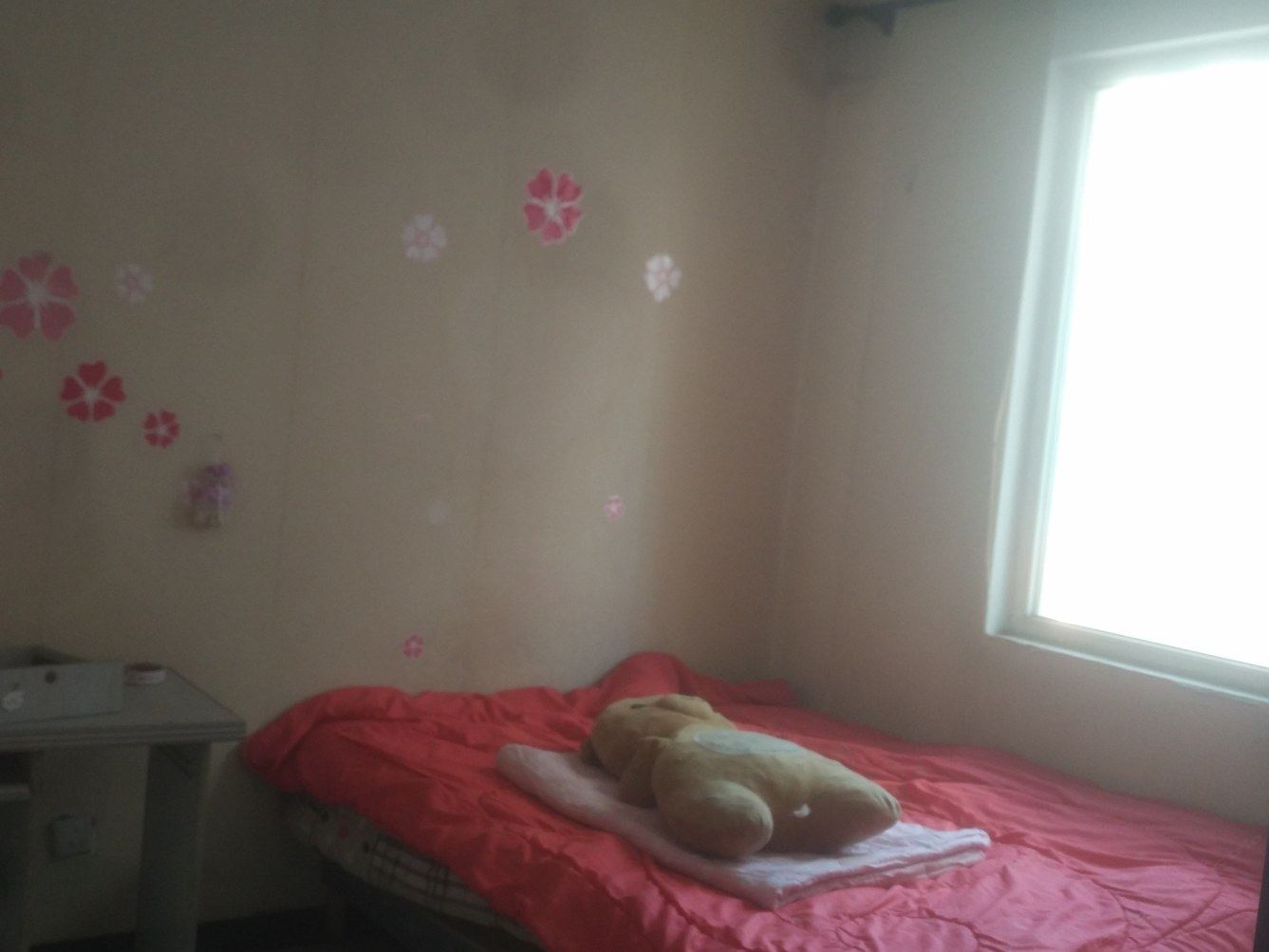 石家庄狂奔的小猫普通公寓
