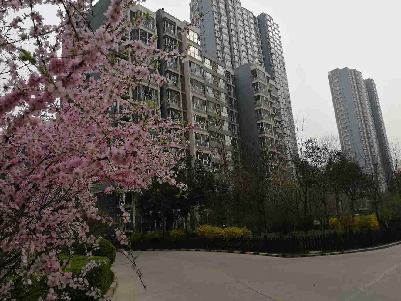 石家庄玉龙小驻住宿