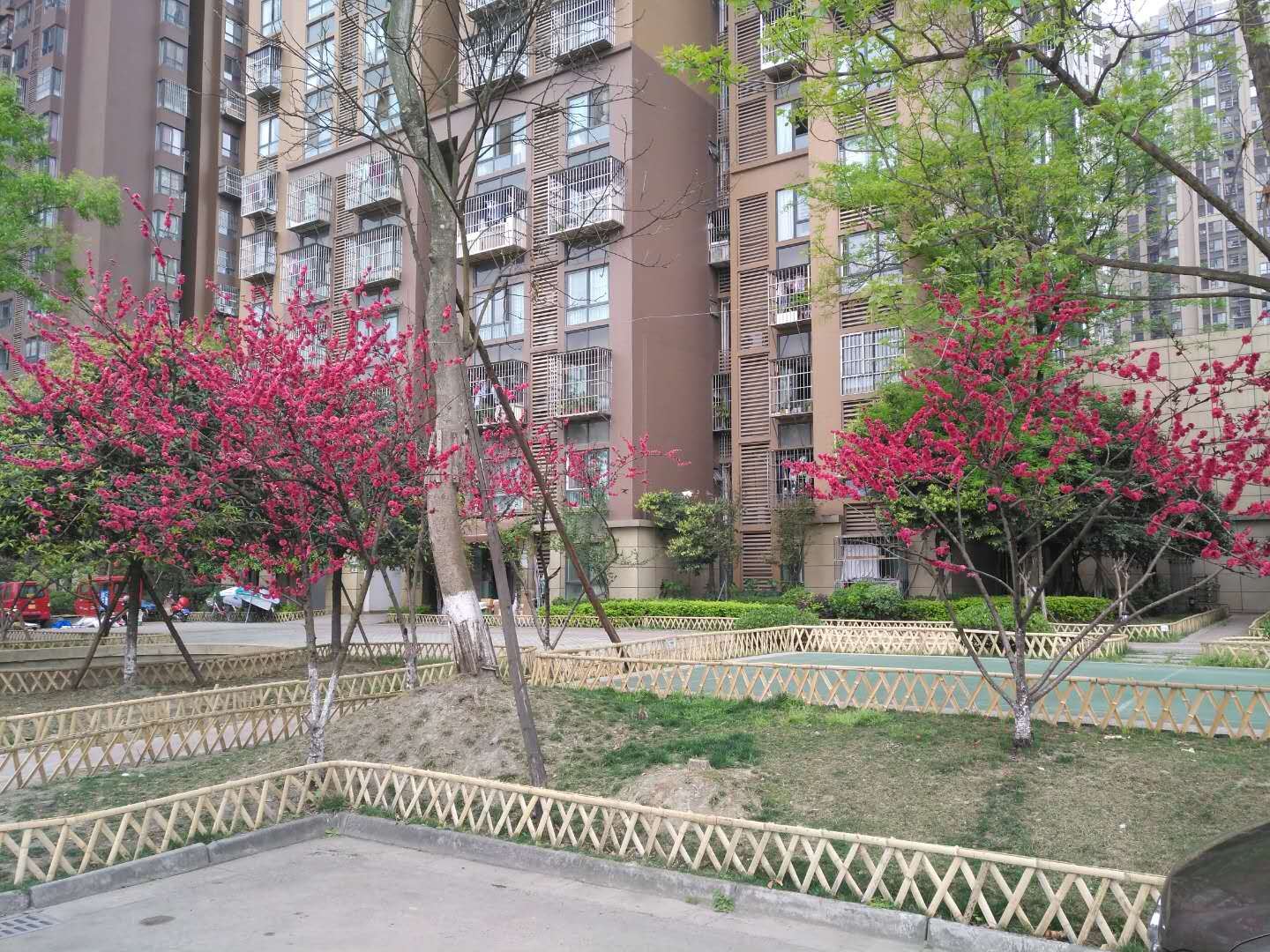 成都遇见恋家温馨小居
