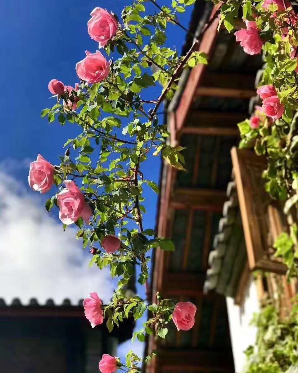贵阳花溪湖畔酒店