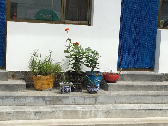 北京Delia客栈