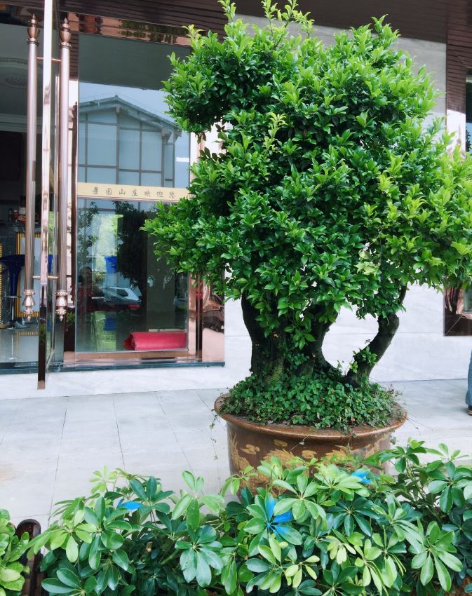 重庆景园山庄