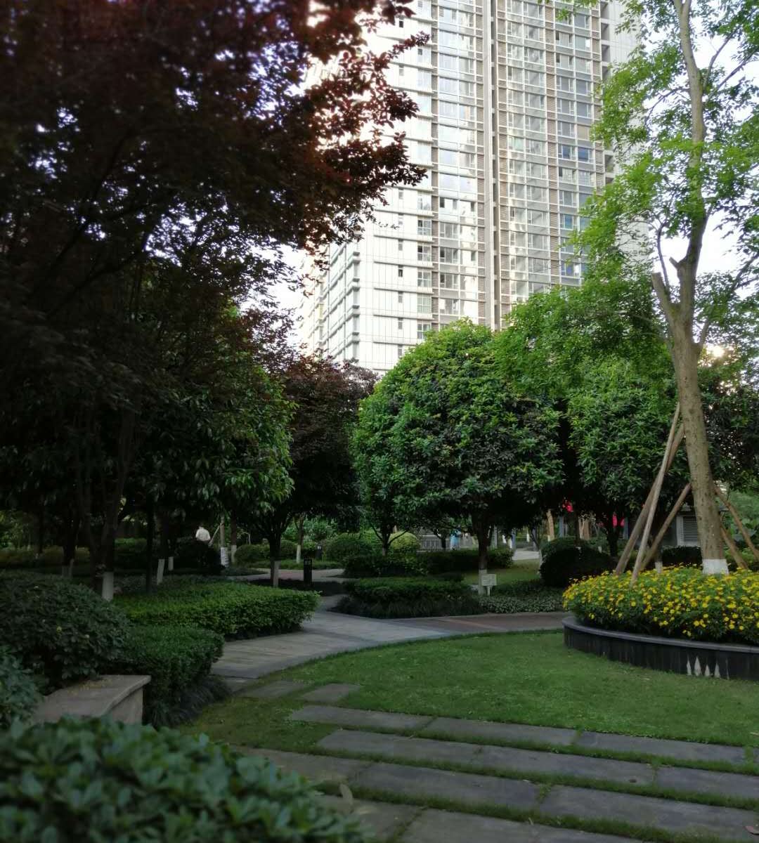 重庆树洞青旅