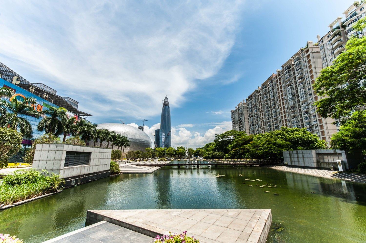 深圳TOM的小屋