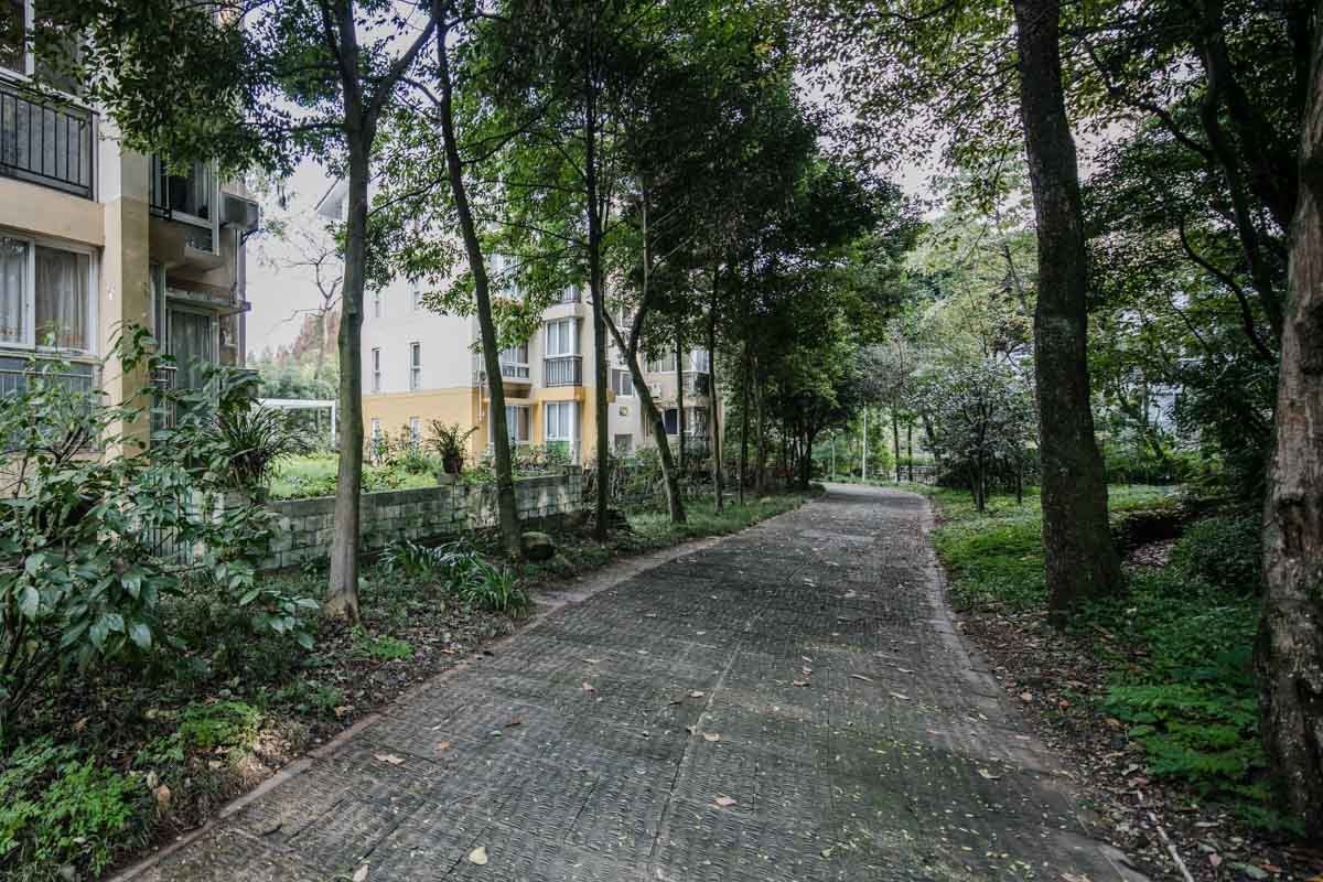 成都NIEC HOUSE普通公寓(分店)