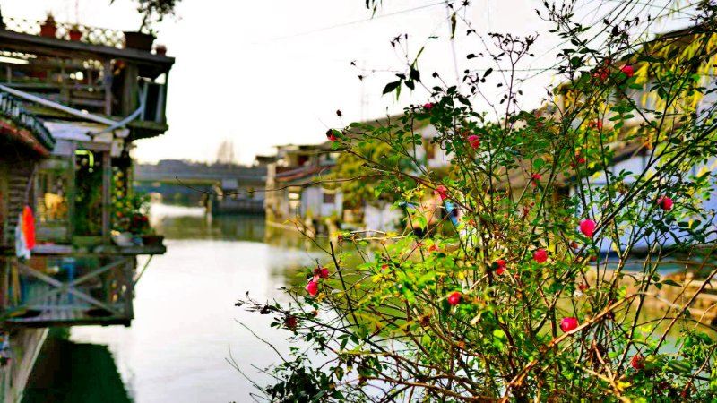 上海角里小憩客栈