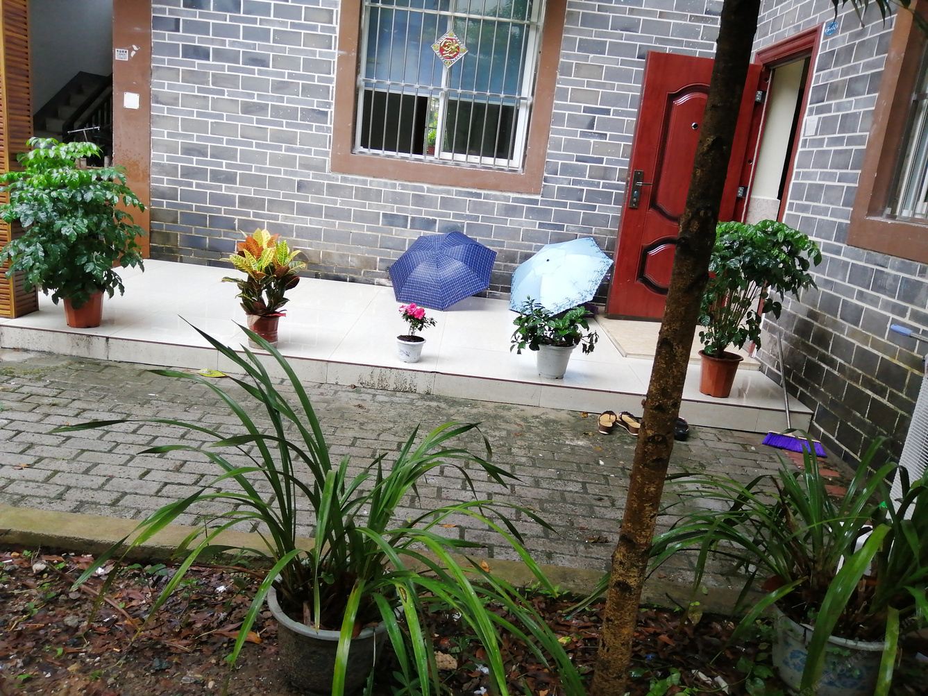 成都星雨塘度假别墅