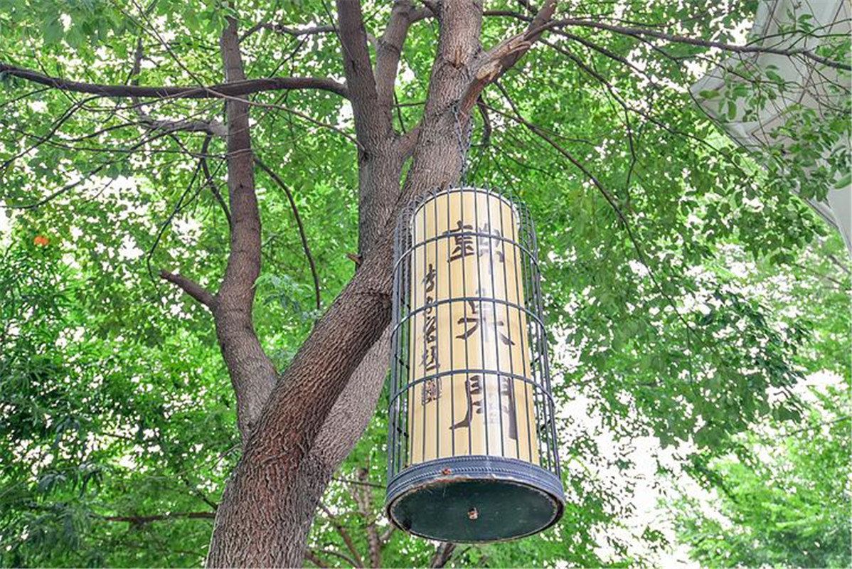 合肥自由天堂高端聚会派对独栋别墅