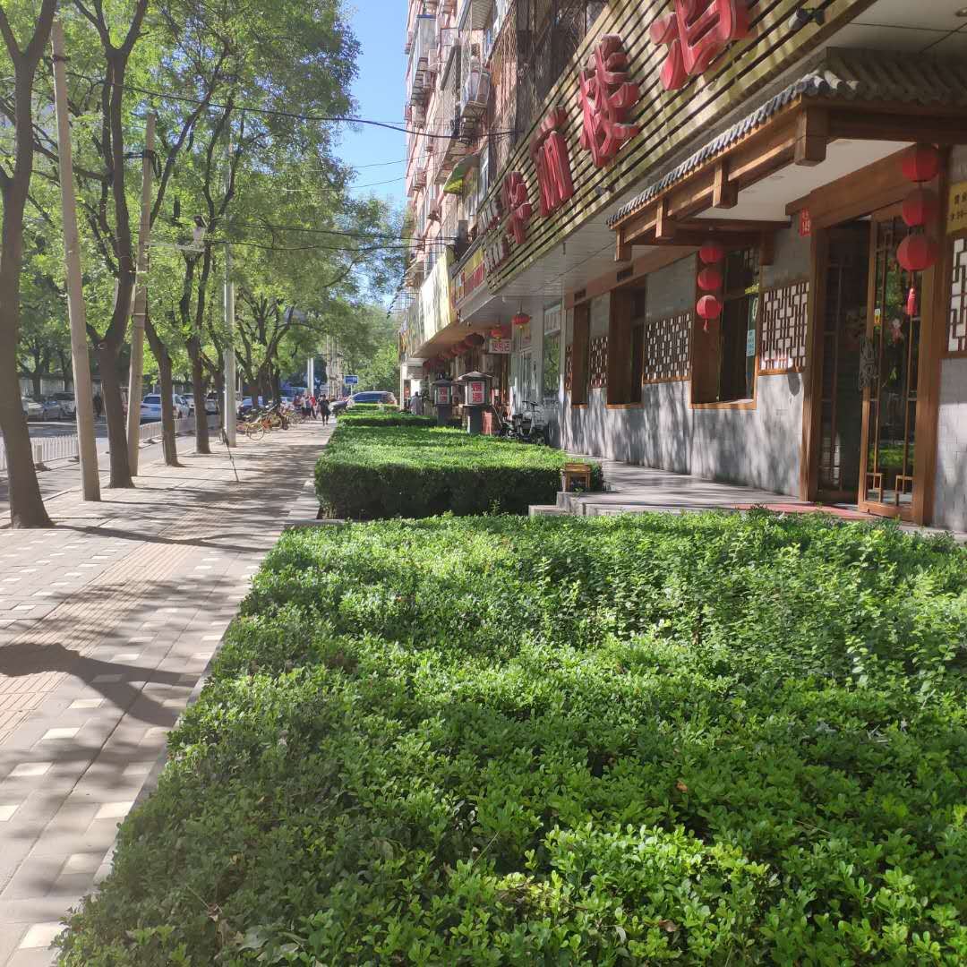 北京紫茉民居