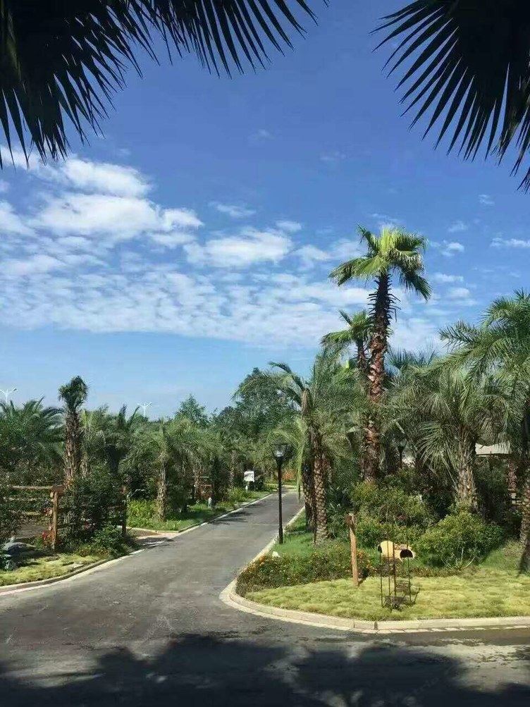 成都棕榈世界房车露营地房车营地