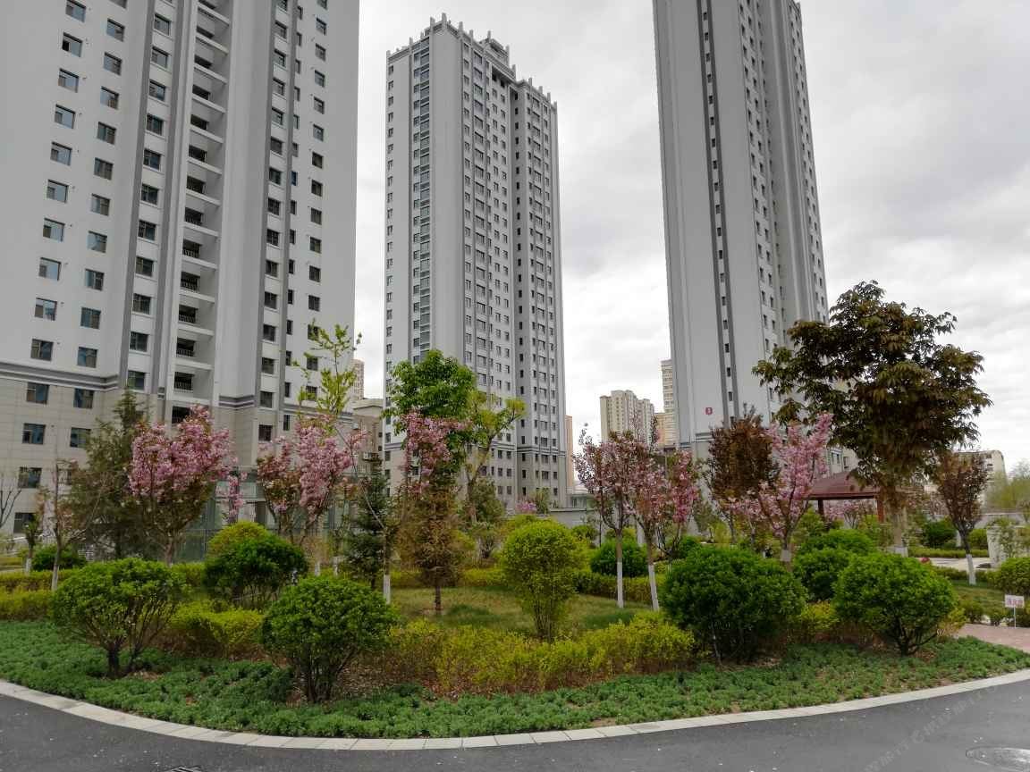 兰州椰子公寓