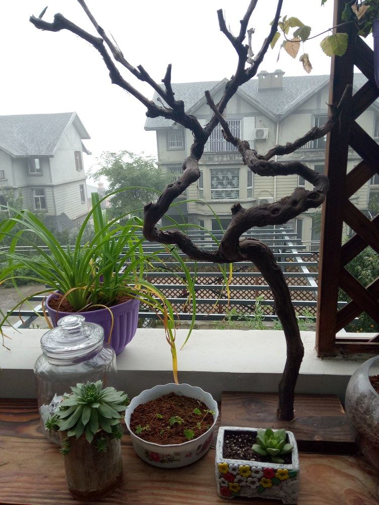 西安隐居.山间花园度假别墅