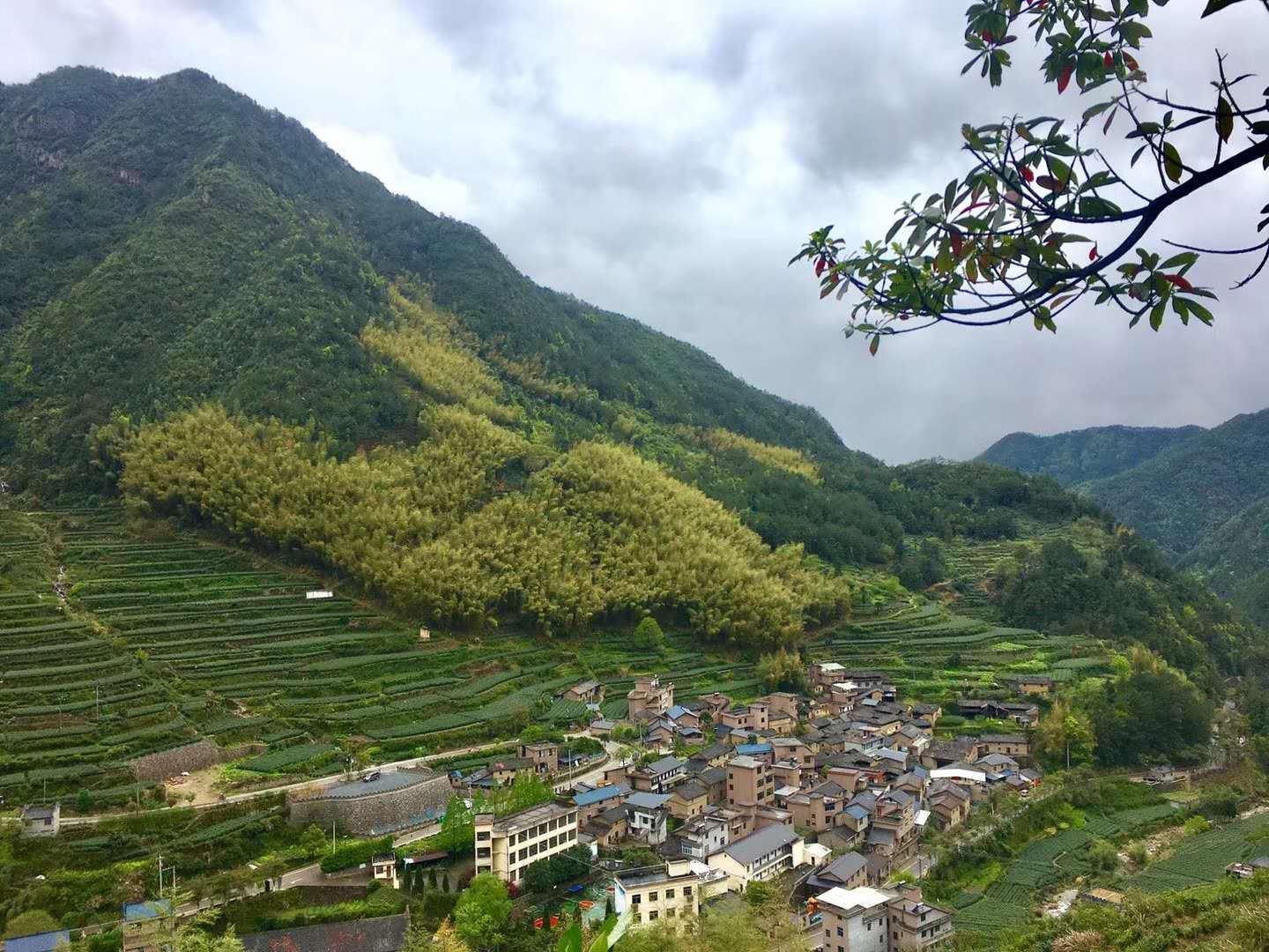 松阳青山云雨客栈