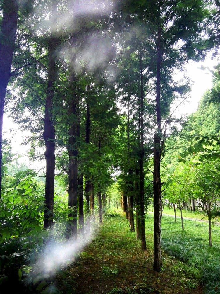 杭州完美人生普通公寓