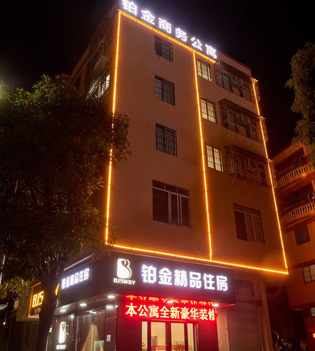 江门铂金精品住房
