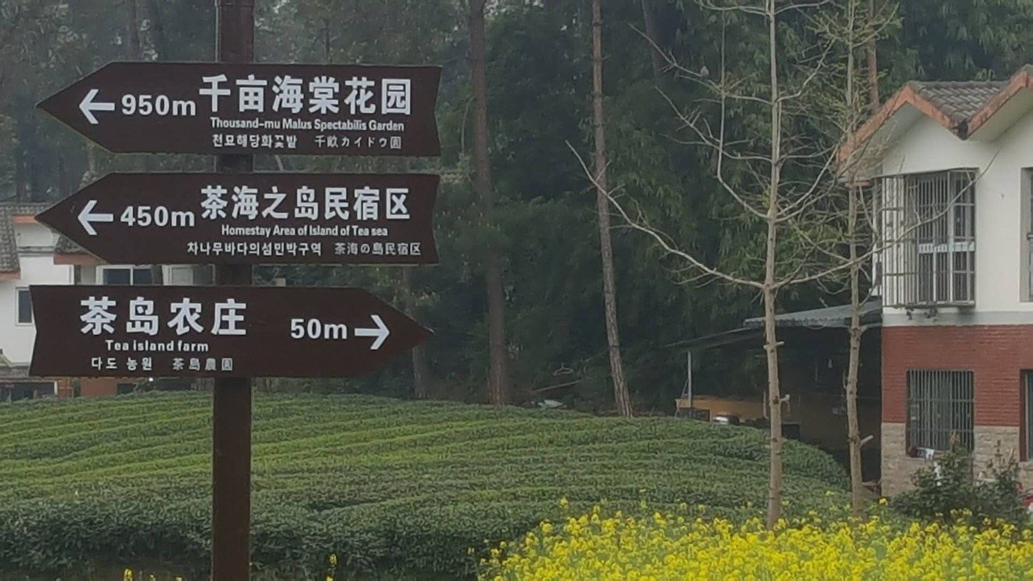 成都茶岛民宿