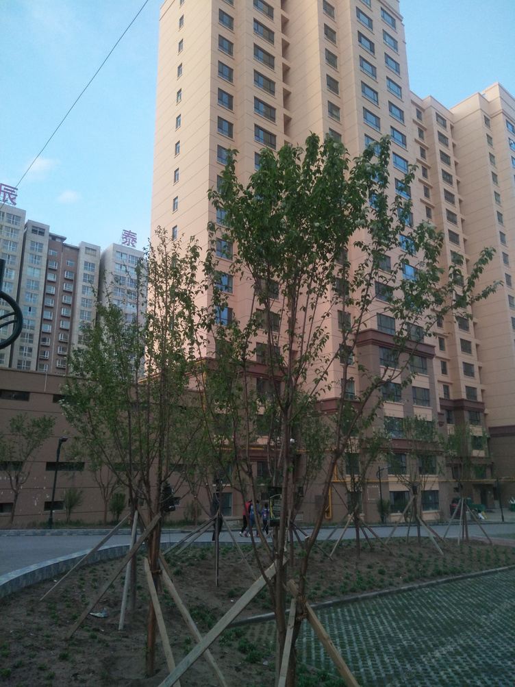 西宁张延平公寓