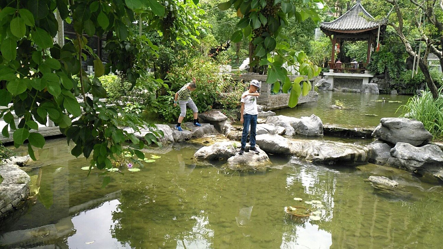 惠州小飞鼠公寓