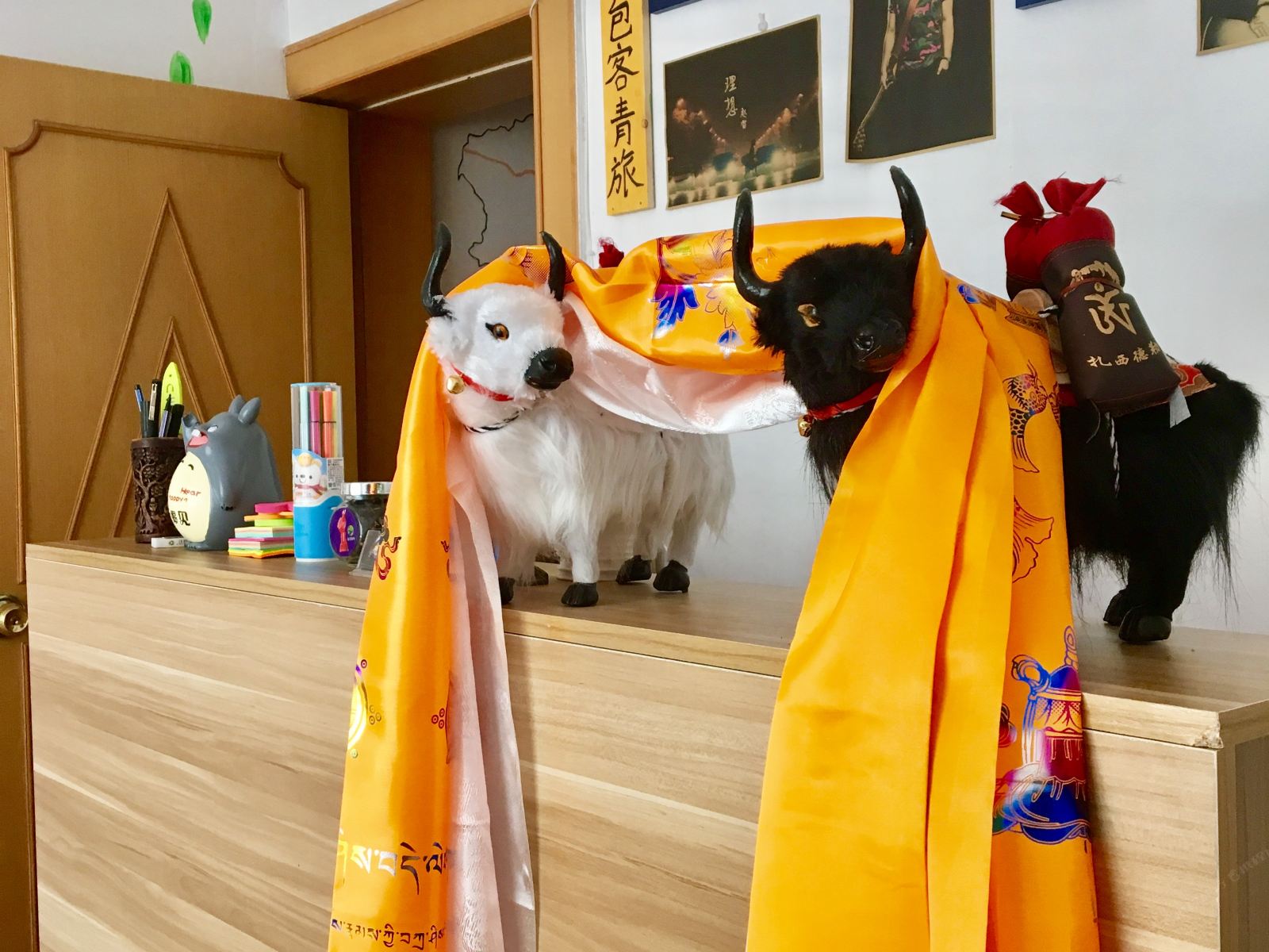 西宁背包客青年旅舍