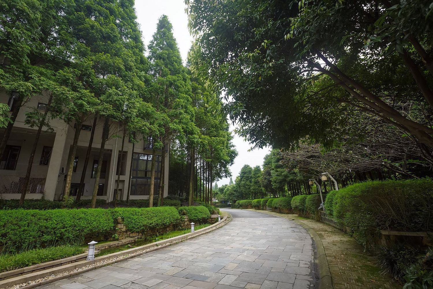 成都迪迦雷克斯度假别墅