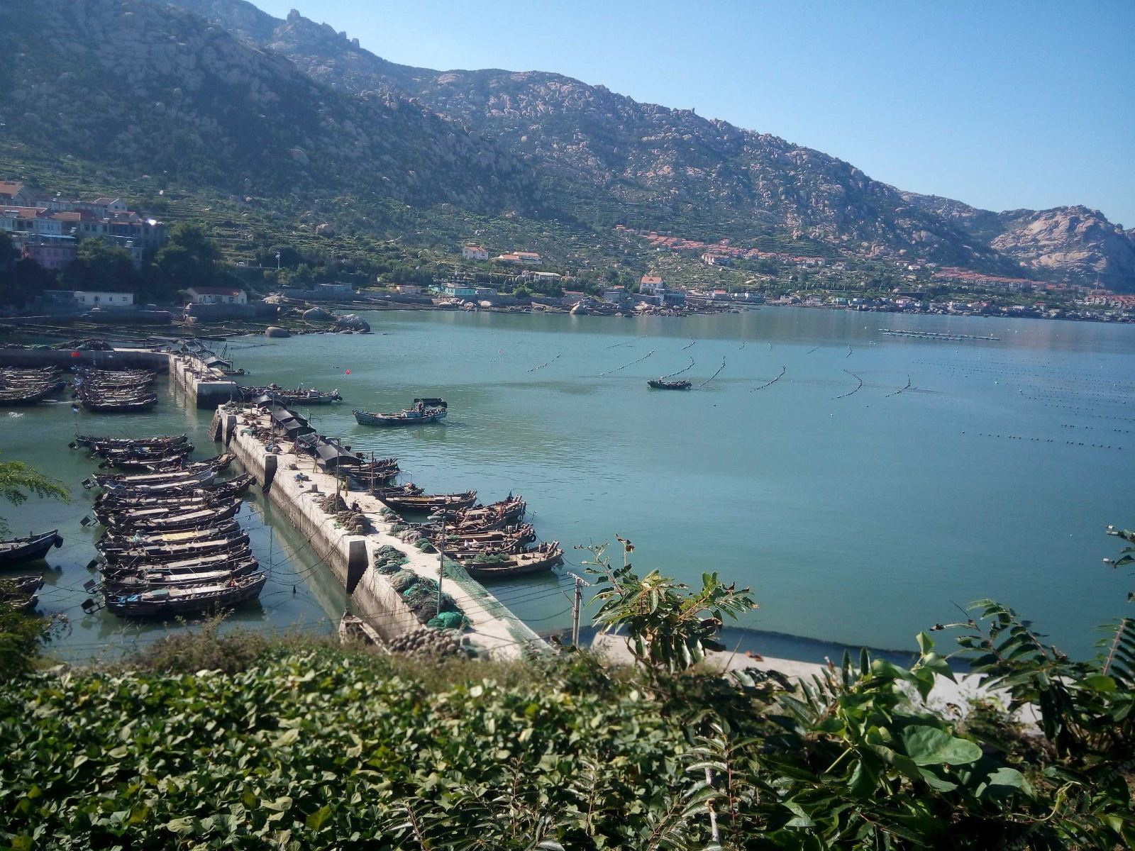 青岛东林山海农家乐