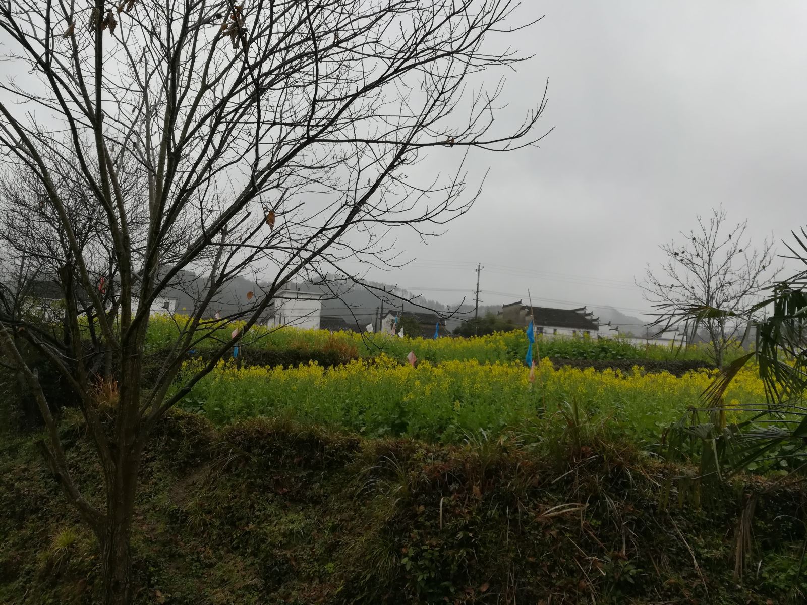 婺源汪口到家了旅店