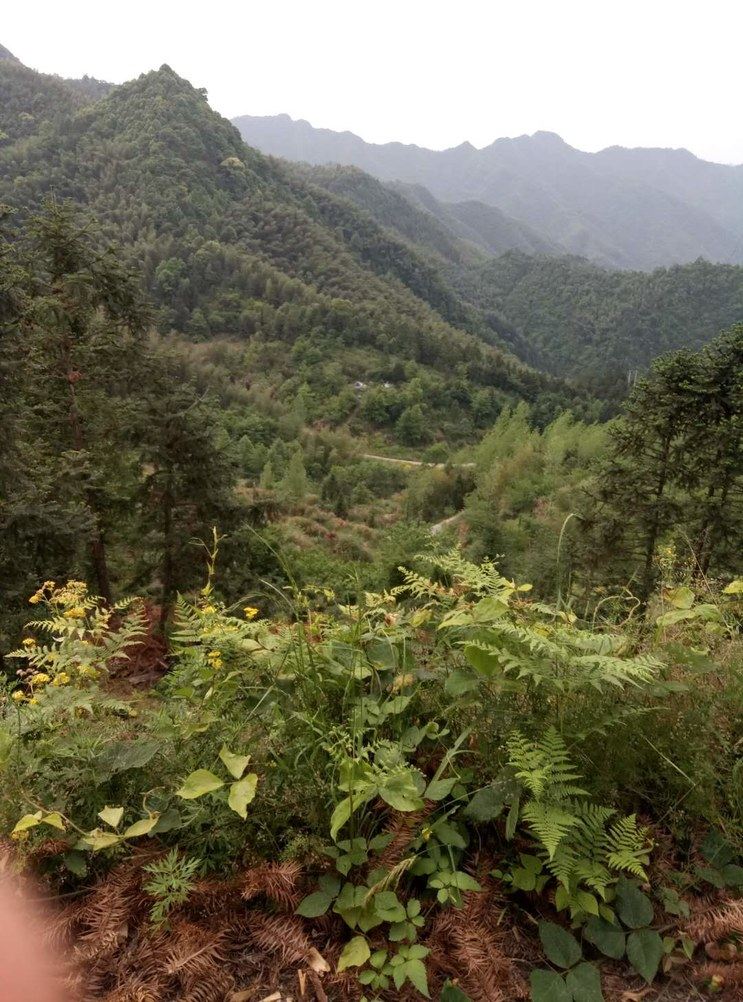石台姊妹山庄