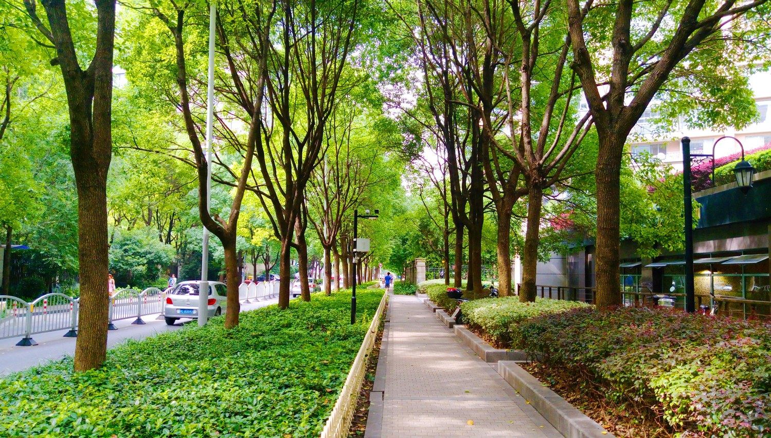 一棵大松树公寓(上海天钥桥路店)