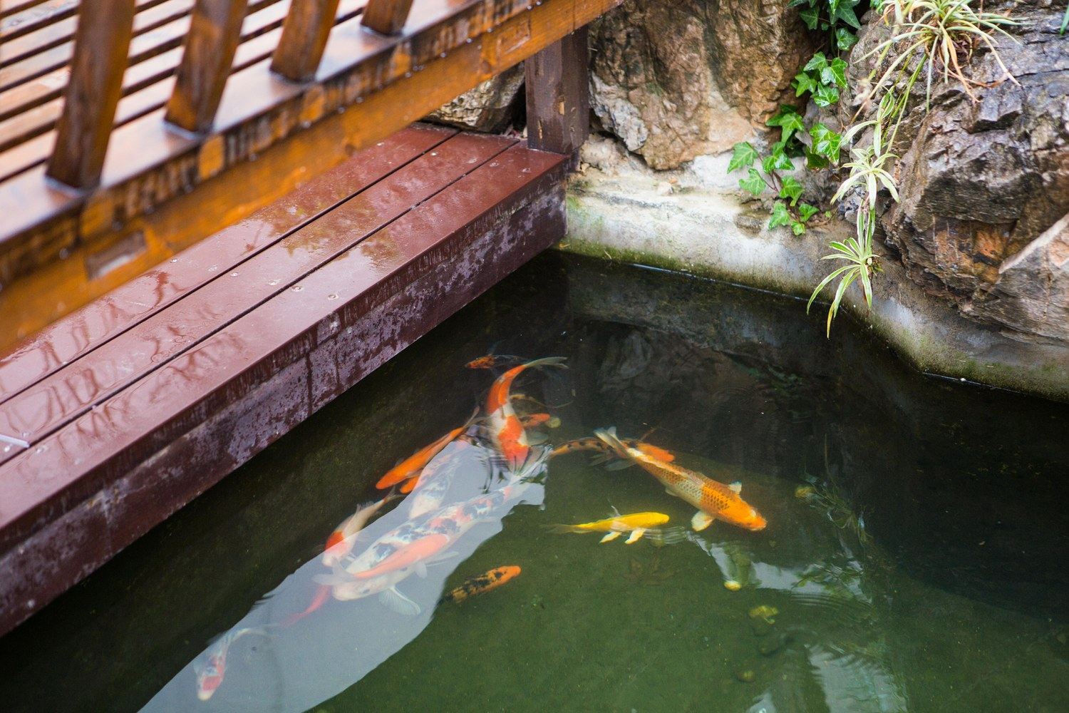 象山沐客愉院玫瑰海边四合院