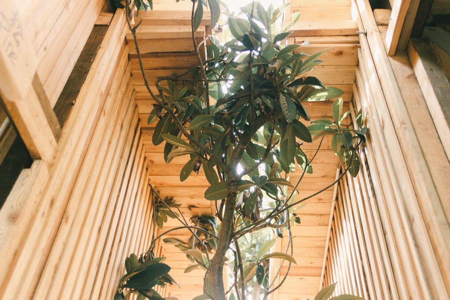 成都凡朴生活木屋
