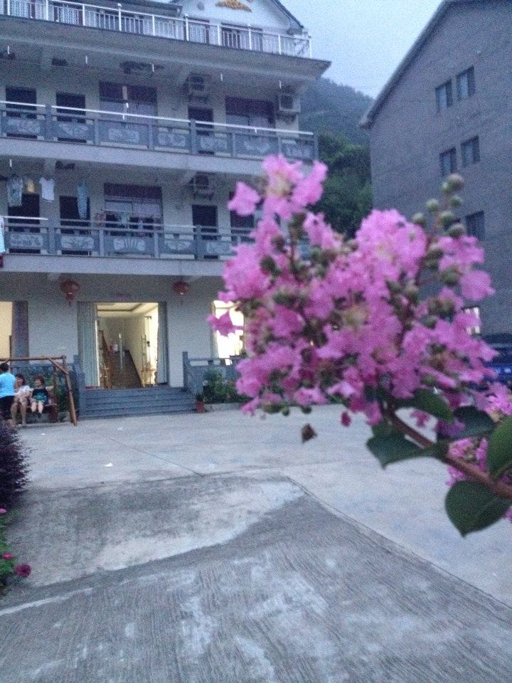 杭州金点山庄