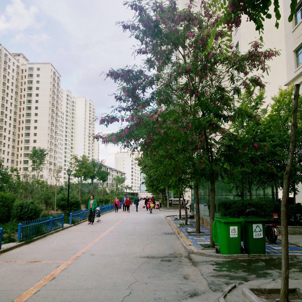 弧度美旅游之家公寓