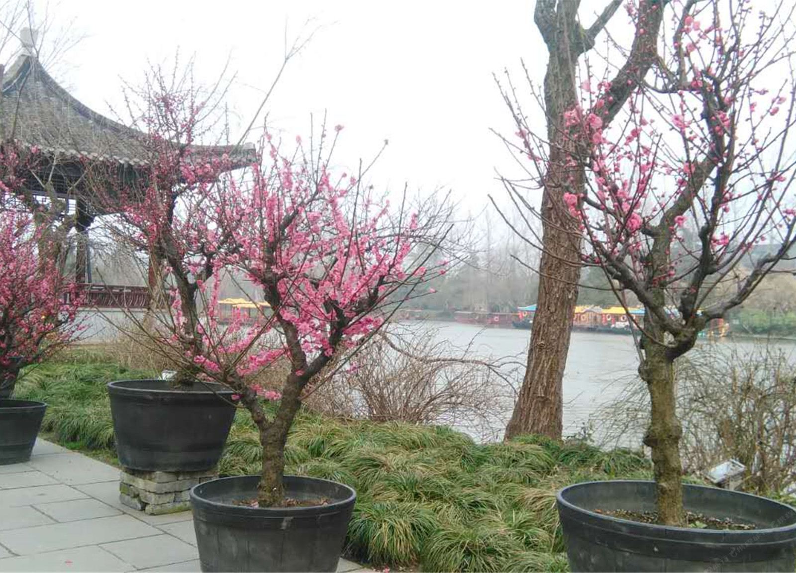 湖畔青年旅舍(扬州精品店)