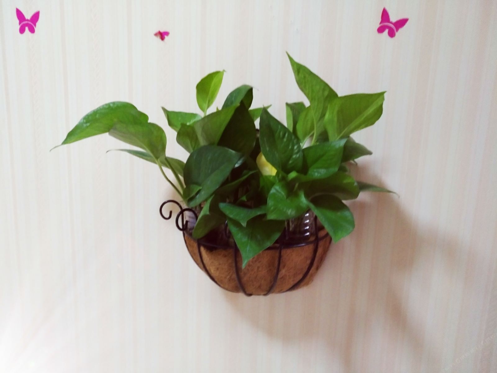 成都逸家客栈
