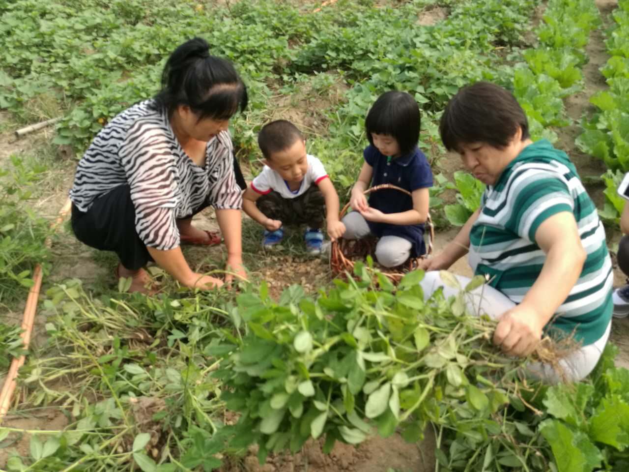 北京张家大院子农家乐