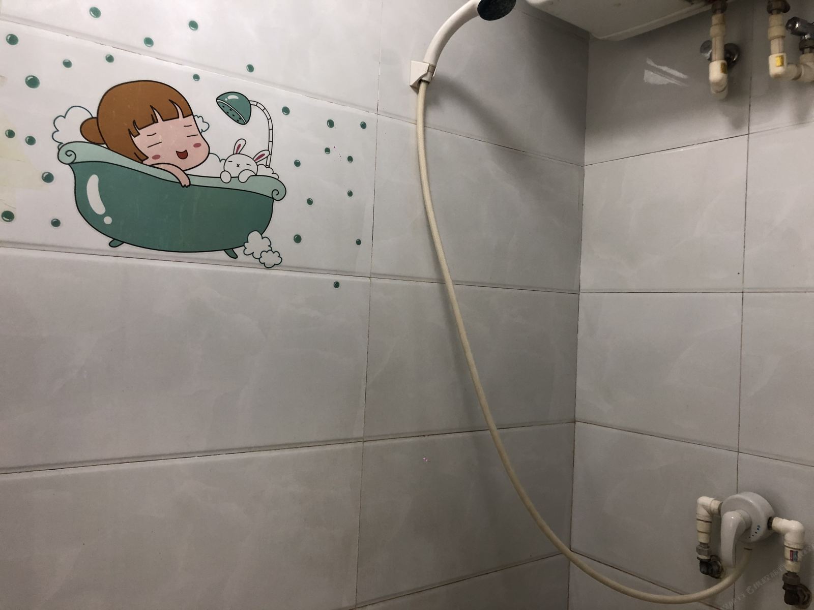 石家庄分开旅行青年旅社