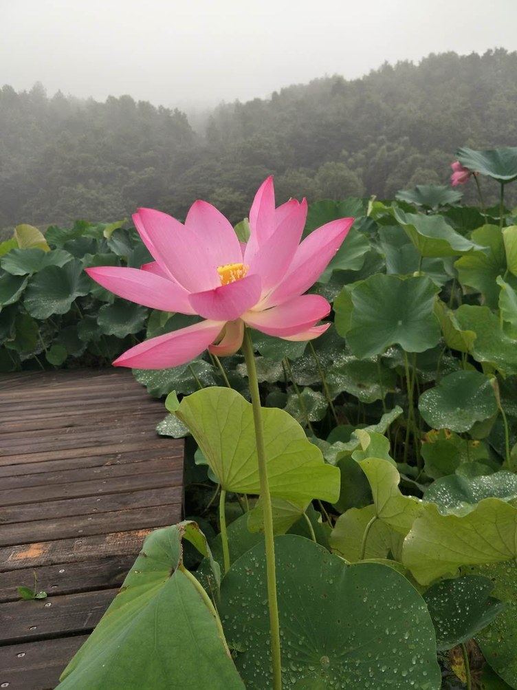 长沙怀怀特色民宿