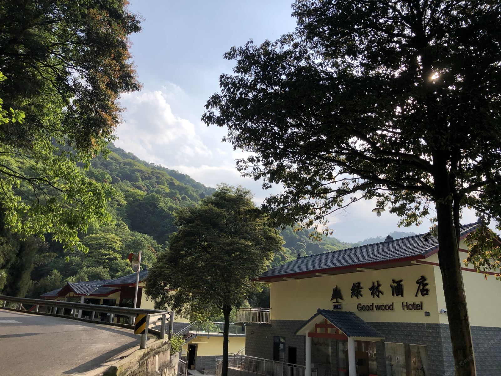 天台山绿林酒店