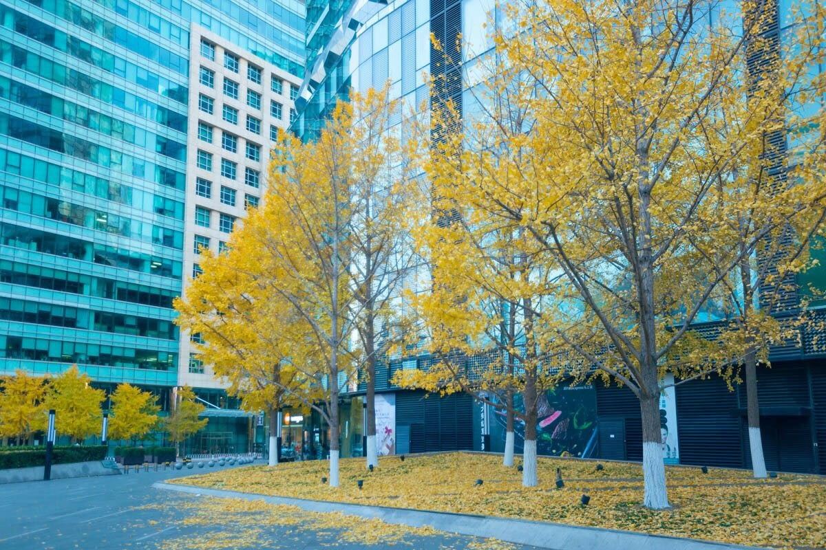 北京路客民宿BD4290