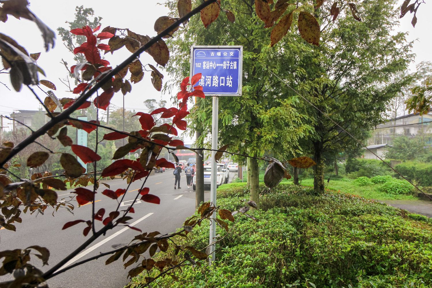 成都青城山沉浸式休闲小别墅(便民路店)