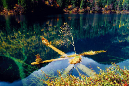 九寨沟喜来登大酒店3日自助游 成都直飞,沟口